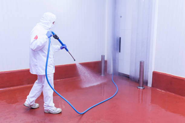 Best Rust Removal  in Jonestown, TX